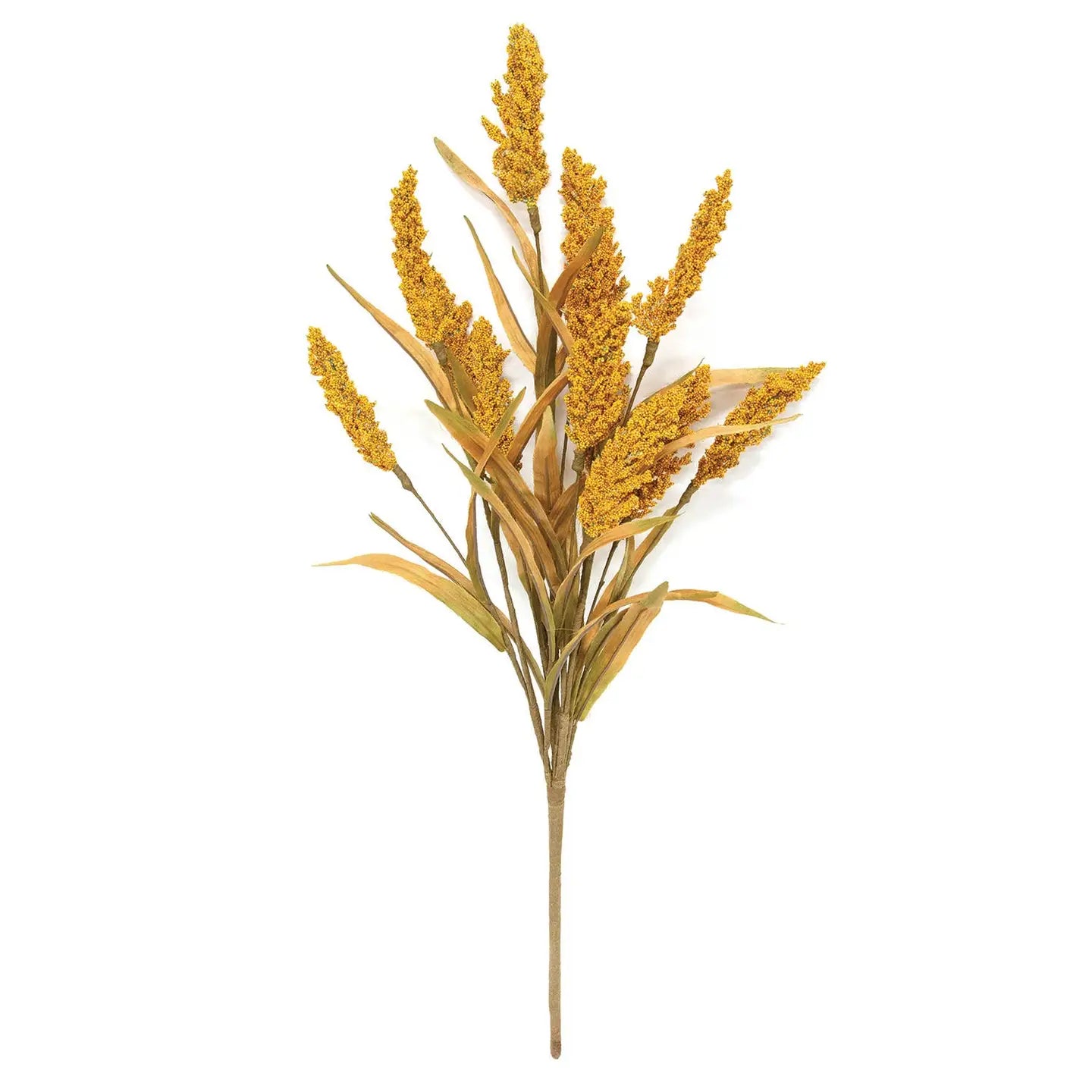 Golden Heather and Fall Grass