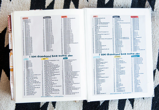 Chronological Bible Reading Plan Vinyl Checklist Sticker
