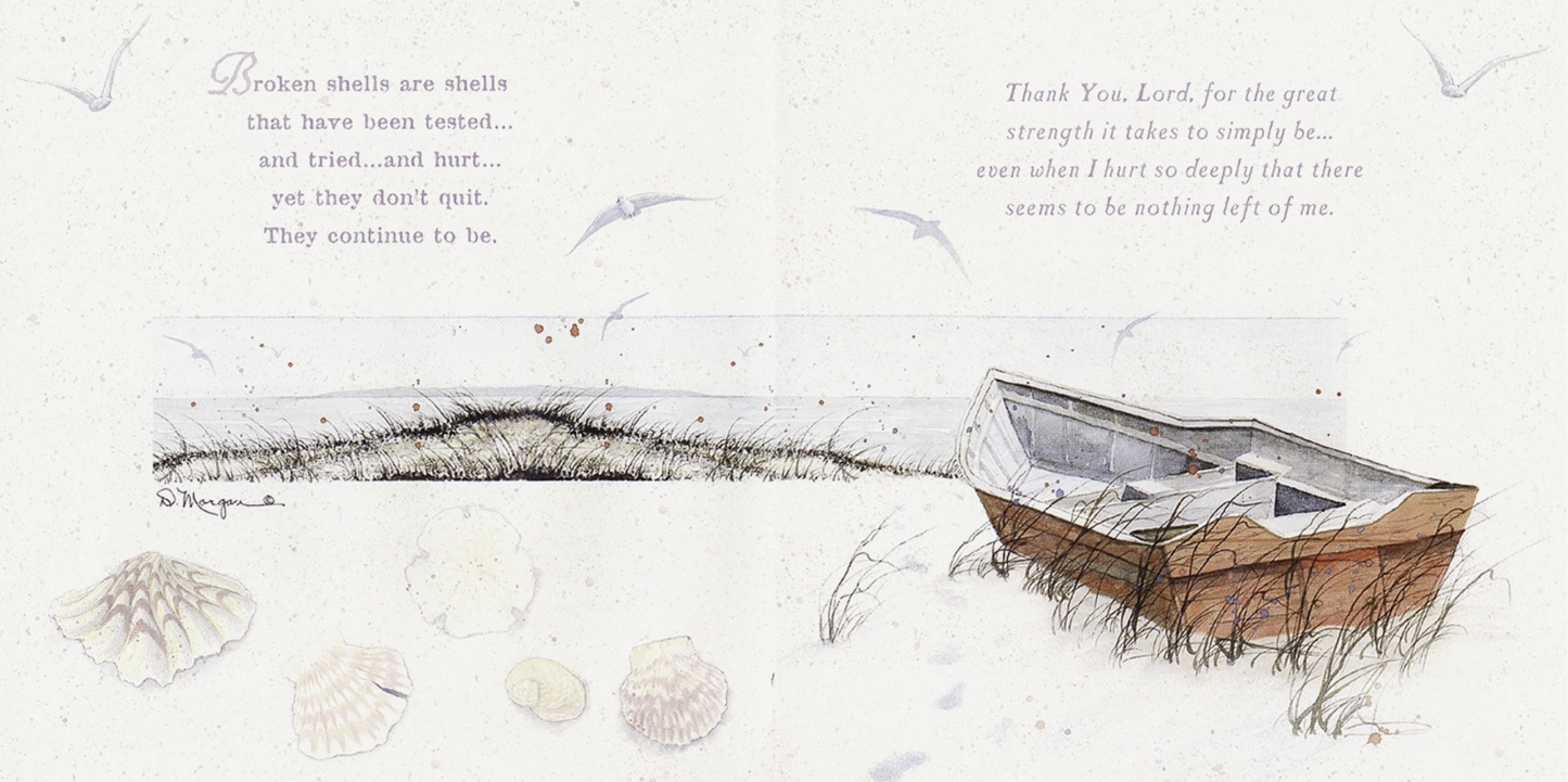 My Beautiful Broken Shell Book