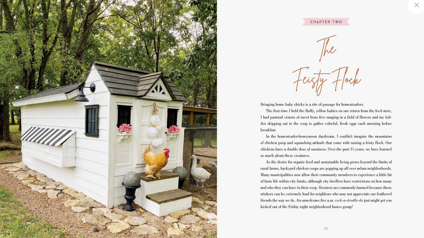 The Grace-Filled Homestead Book