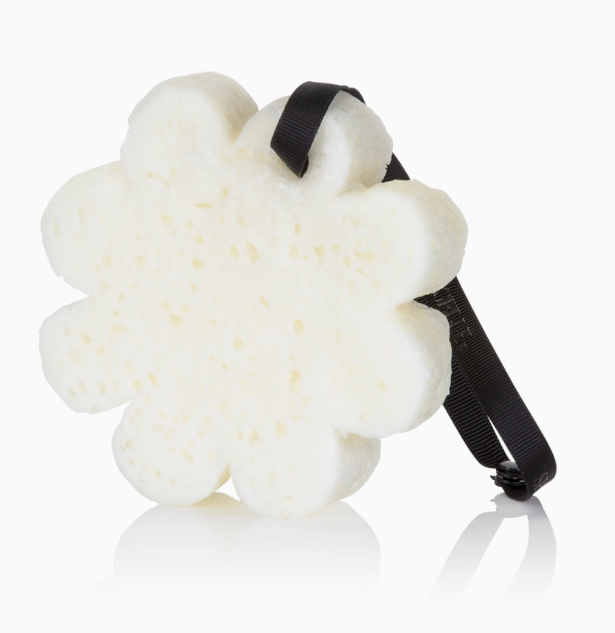 Sugar Crush Boxed Flower