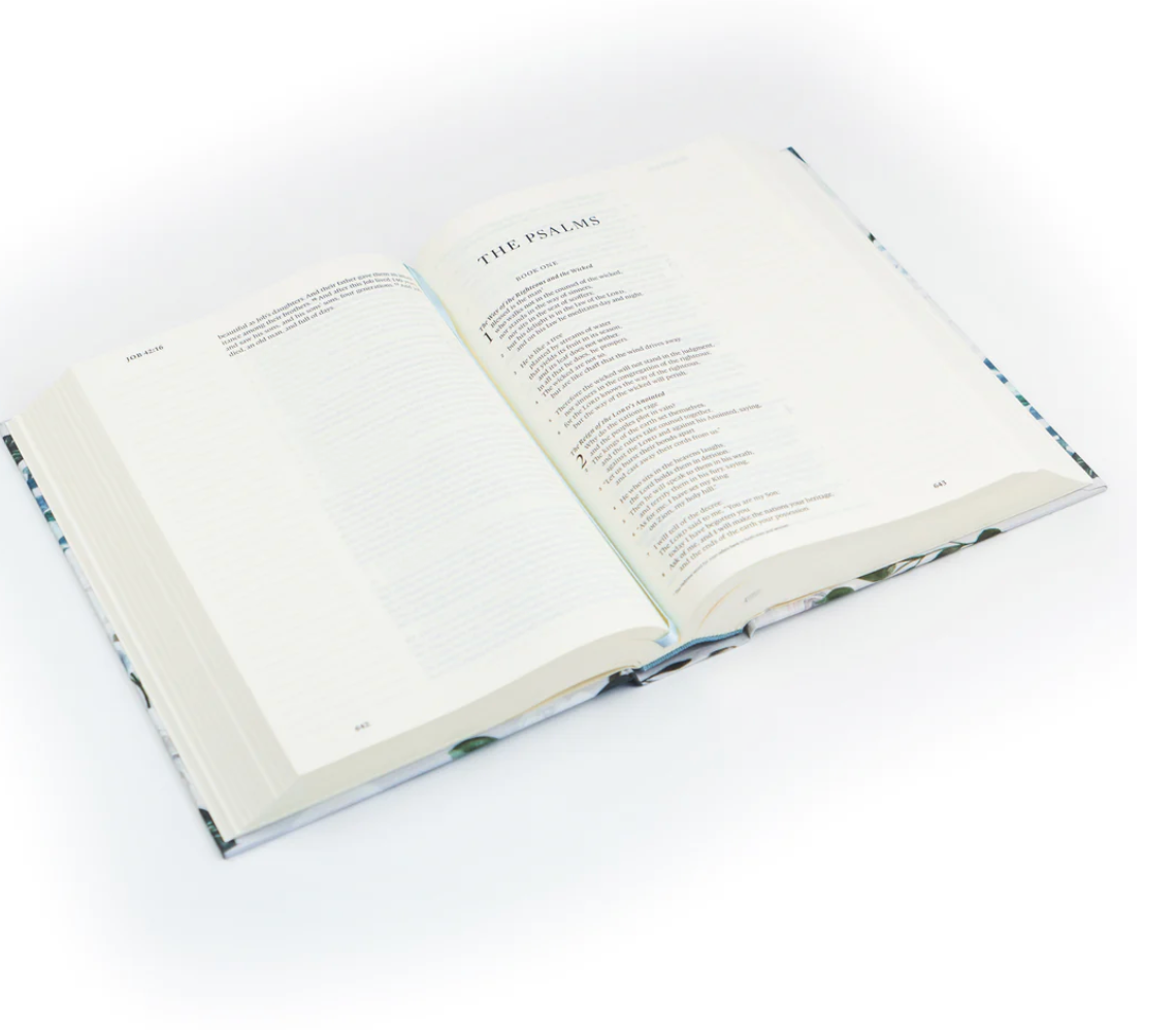 ESV Victoria Large Print Journaling Bible