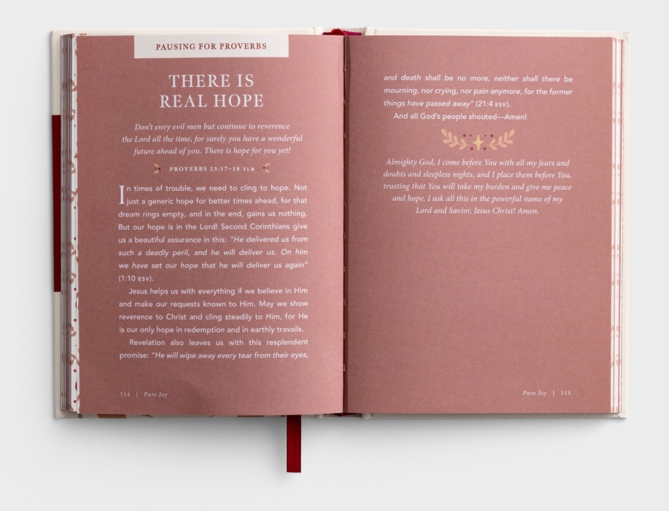 Pure Joy: A 90 Day Devotional in the Book of James