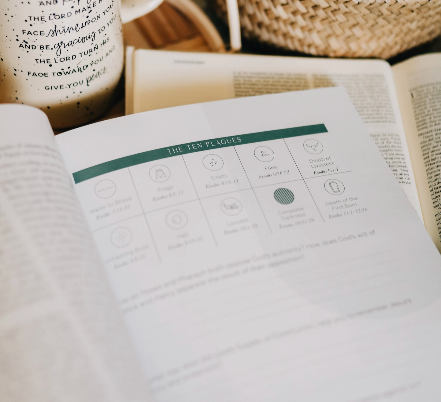 Journey To Freedom | The Life of Moses