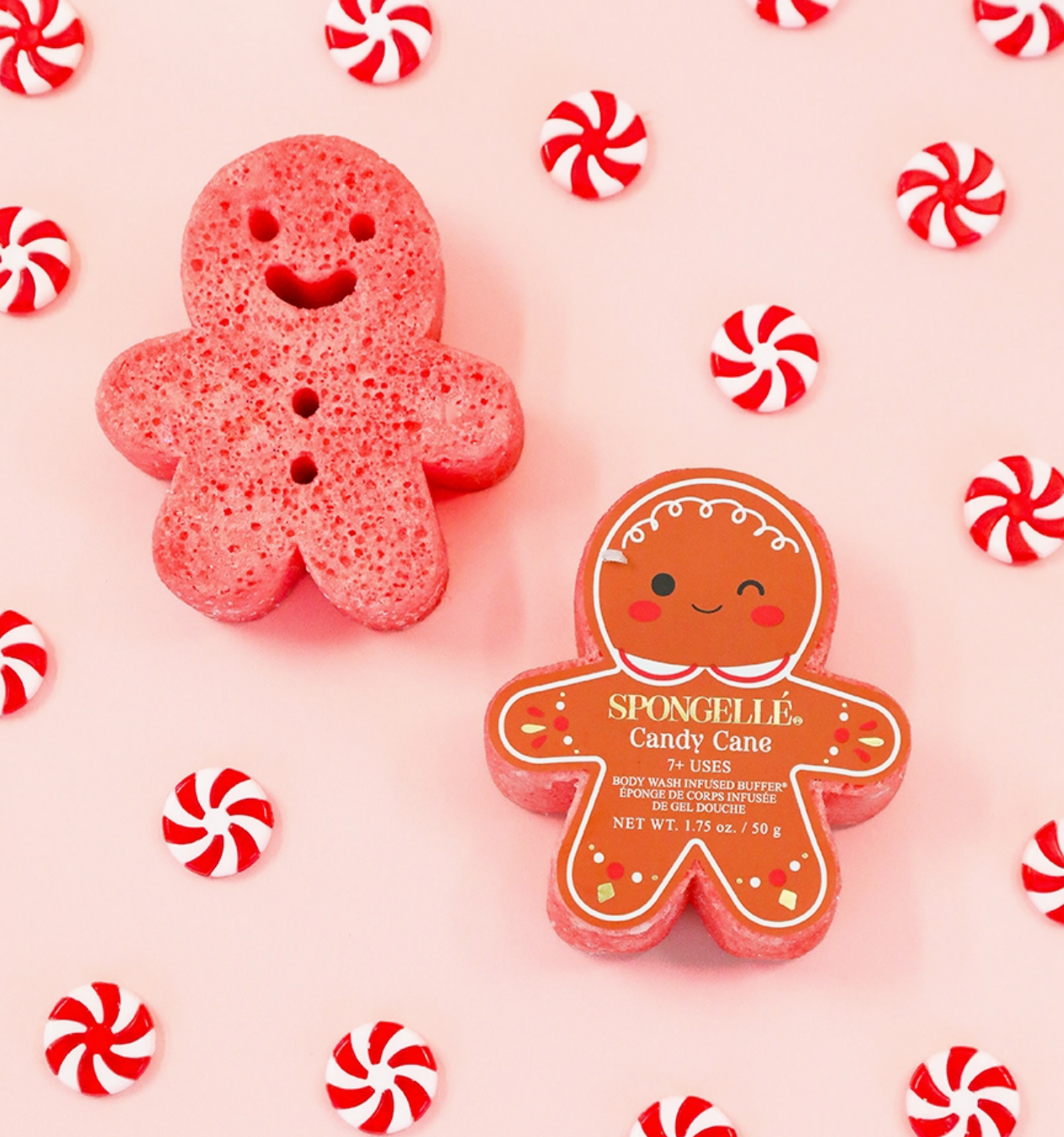 Spongelle Gingerbread Buffer