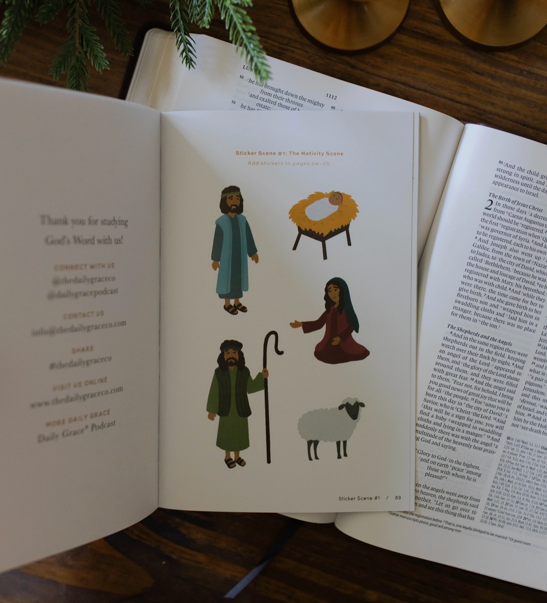 More Than A Manger Book