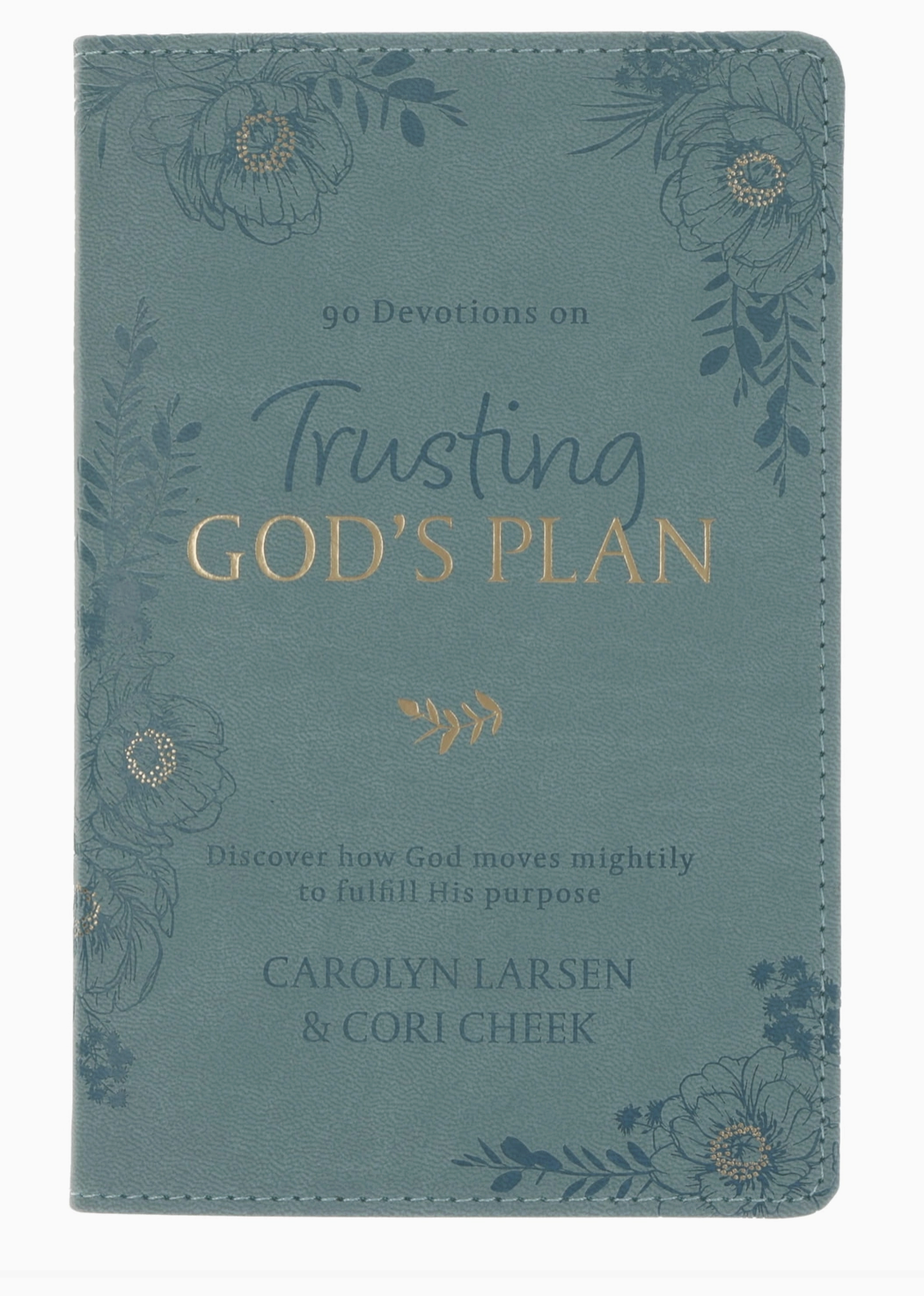 Trusting God's Plan Devotional