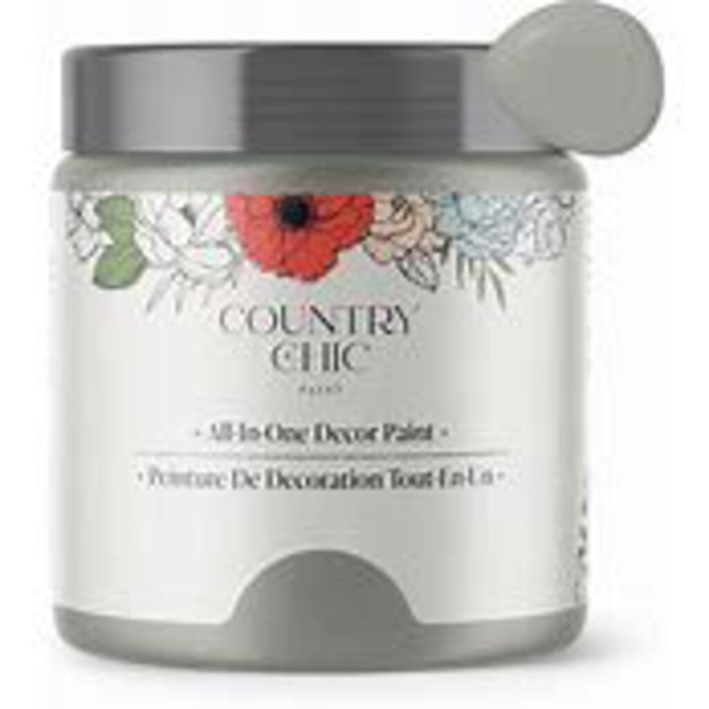 Country Chic All in One Decor Paint- Pebble Beach- 32oz