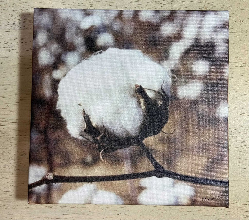 Marshall Jenkins Photography Cotton 8X8 Canvas