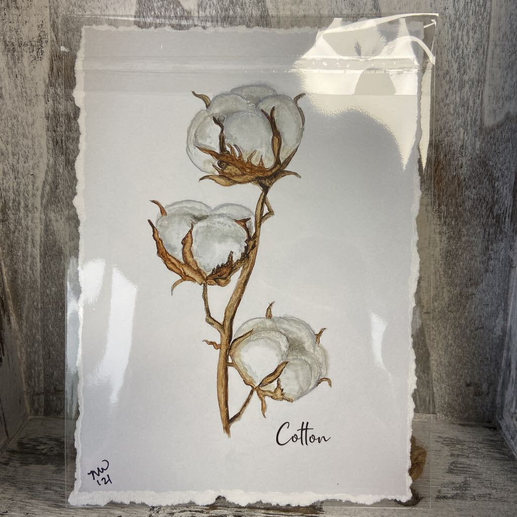"Cotton" 5x7 watercolor print w/ torn edges