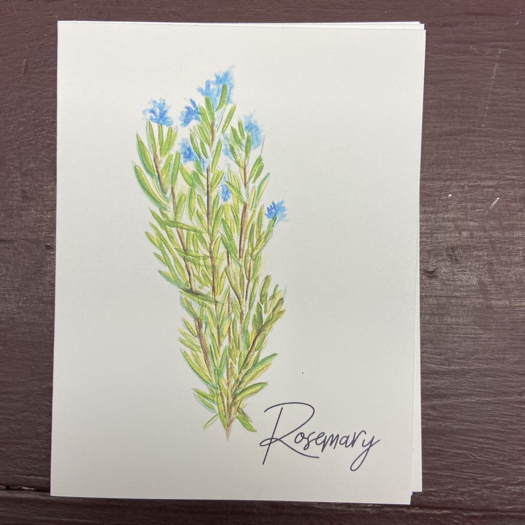 "Cotton Bolls" note cards