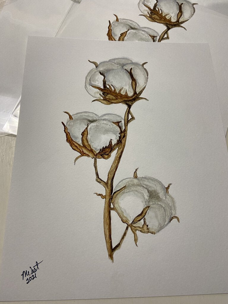 "Cotton Bolls" signed 8x10 print
