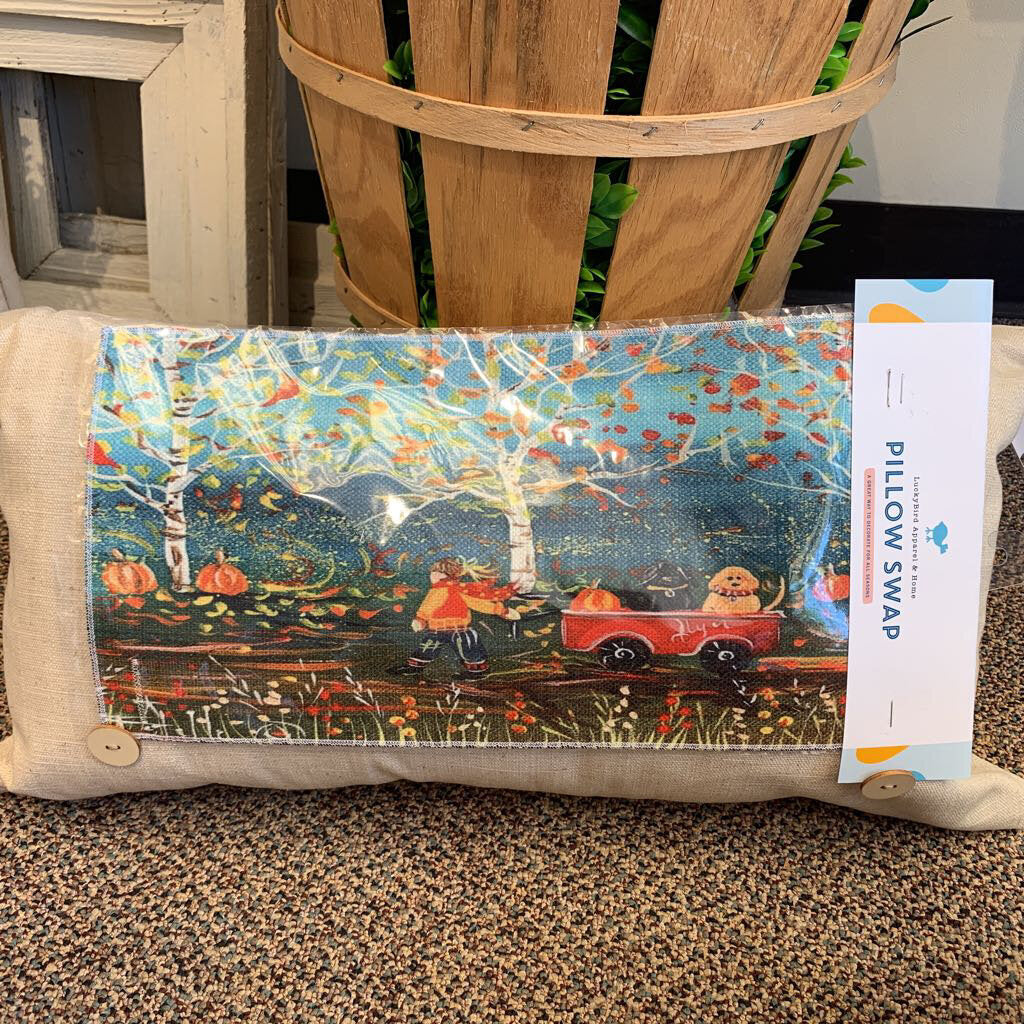 Lumbar Pillow Swap