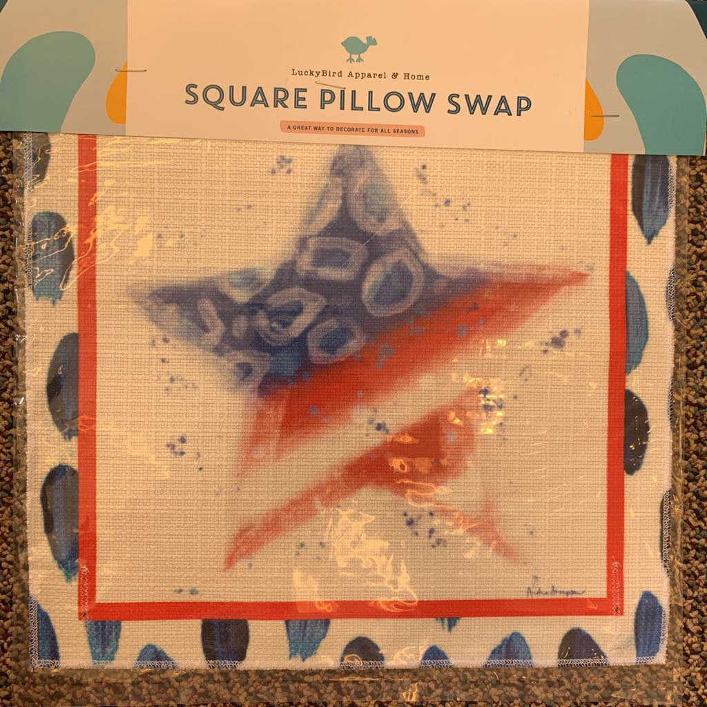 Square Pillow Swap