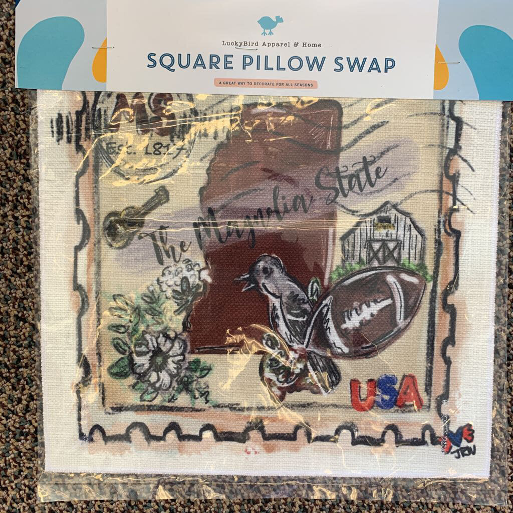 Square Pillow Swap