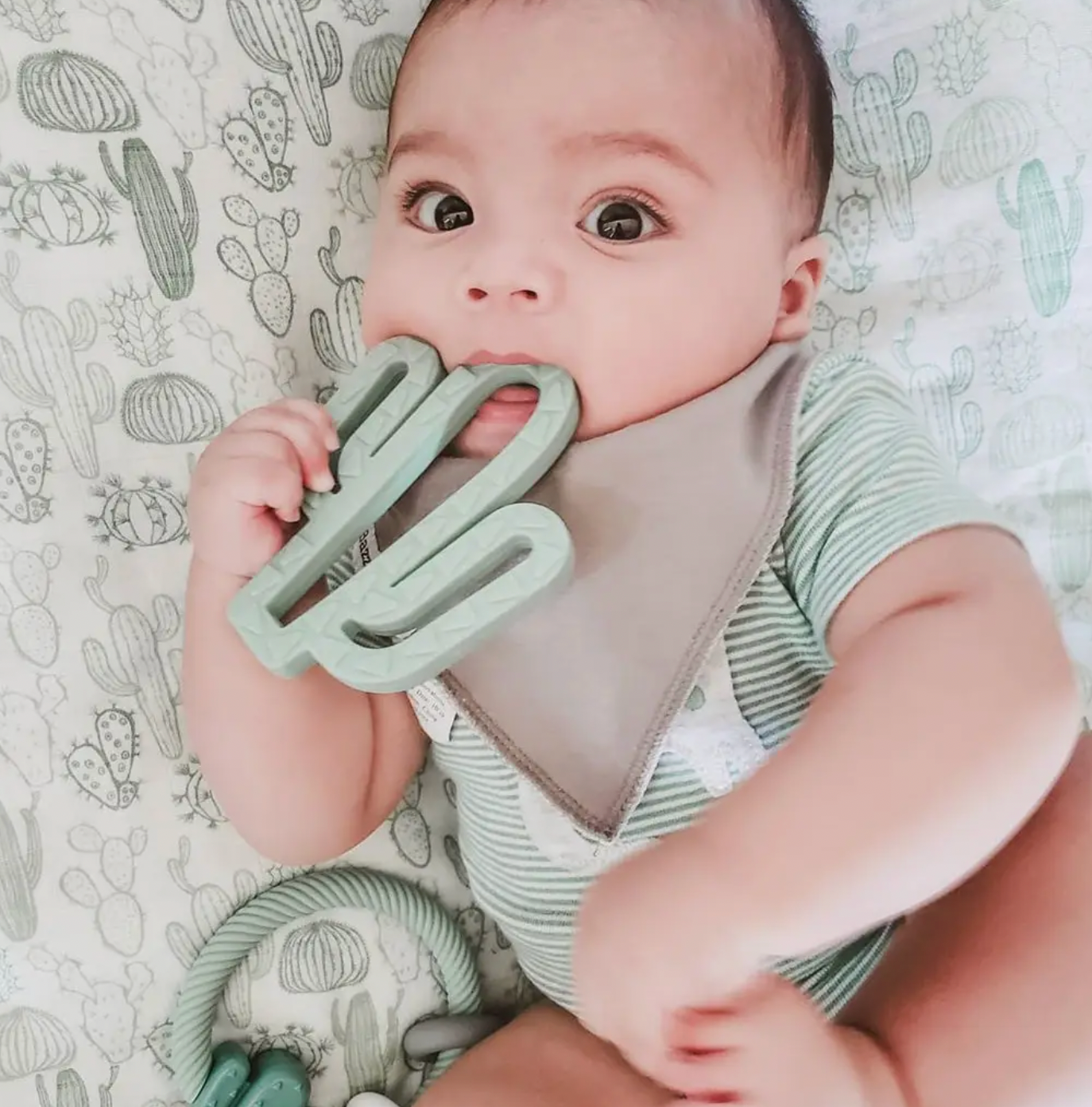 Itzy Ritzy Silicone Cactus Baby Teether