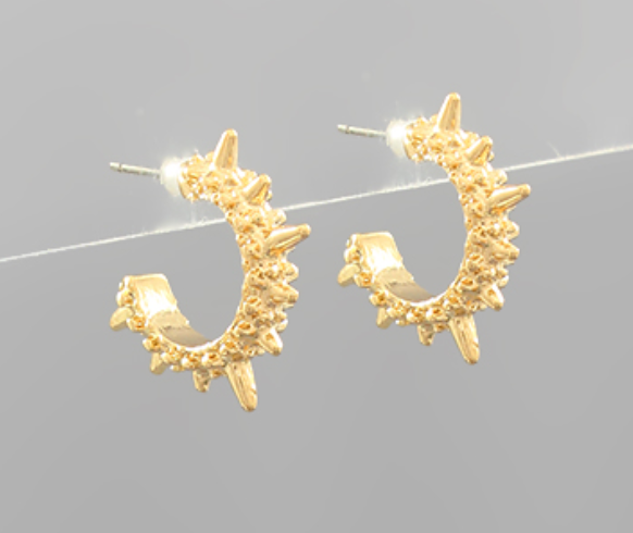 Spike Earrings