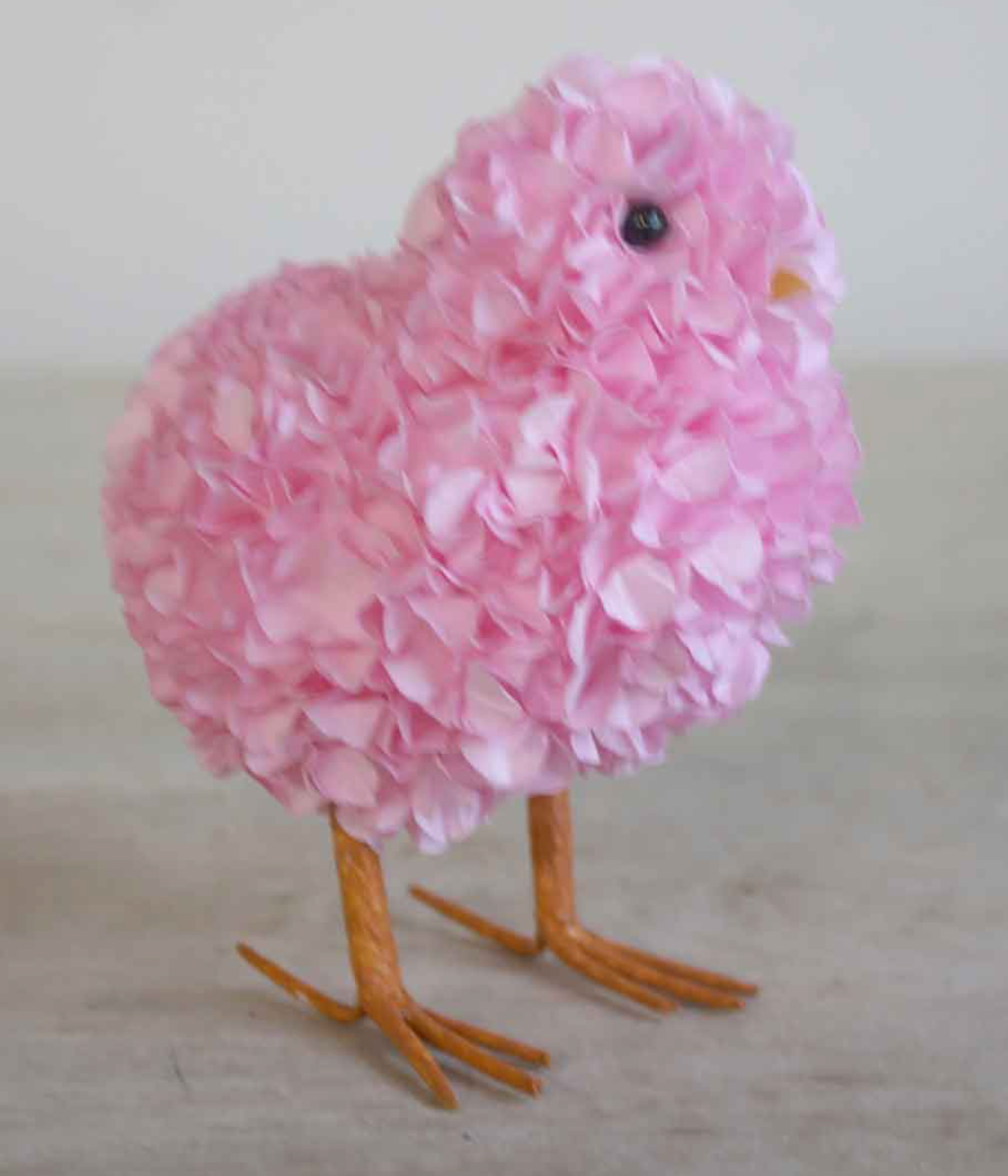 Hydrangea Chick
