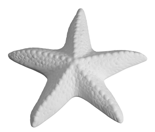 Ceramic Spiny Starfish