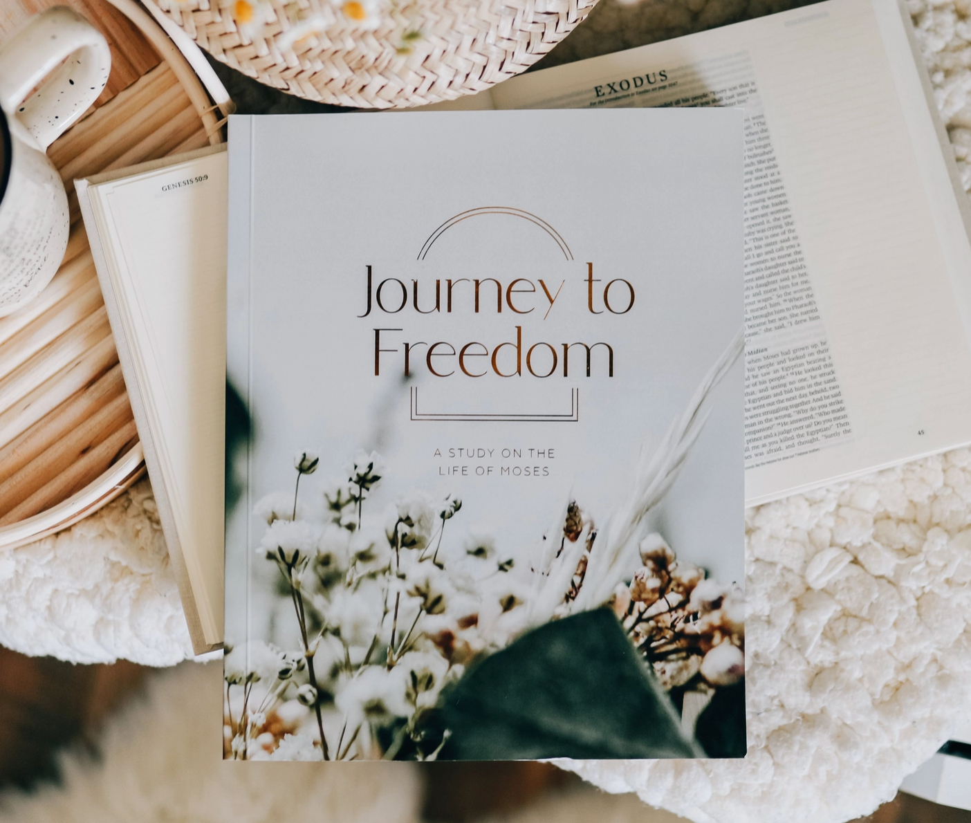 Journey To Freedom | The Life of Moses