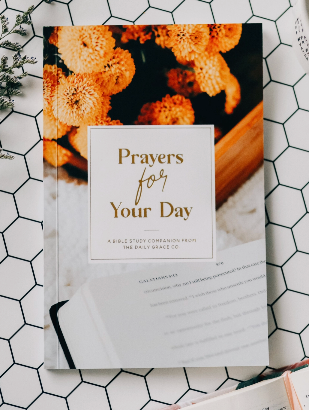 Prayers For Your Day