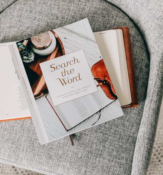 Search the Word