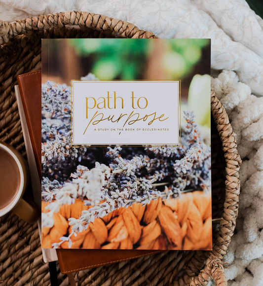 Path To Purpose Ecclesiastes Study