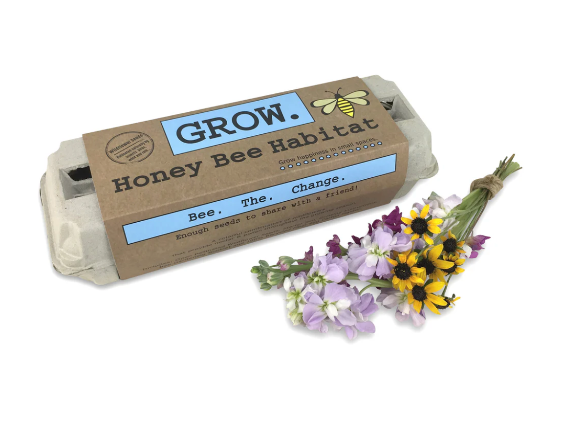 Backyard Safari Garden Kit