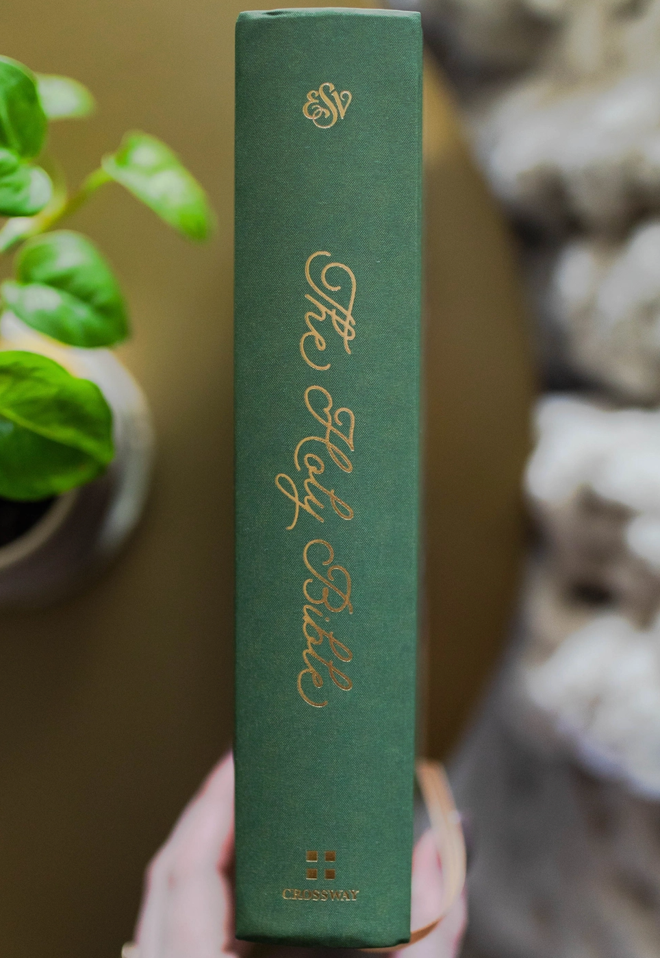 ESV Journaling Bible