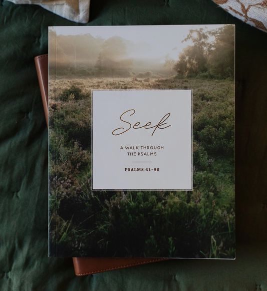 Seek Psalms Bible Study
