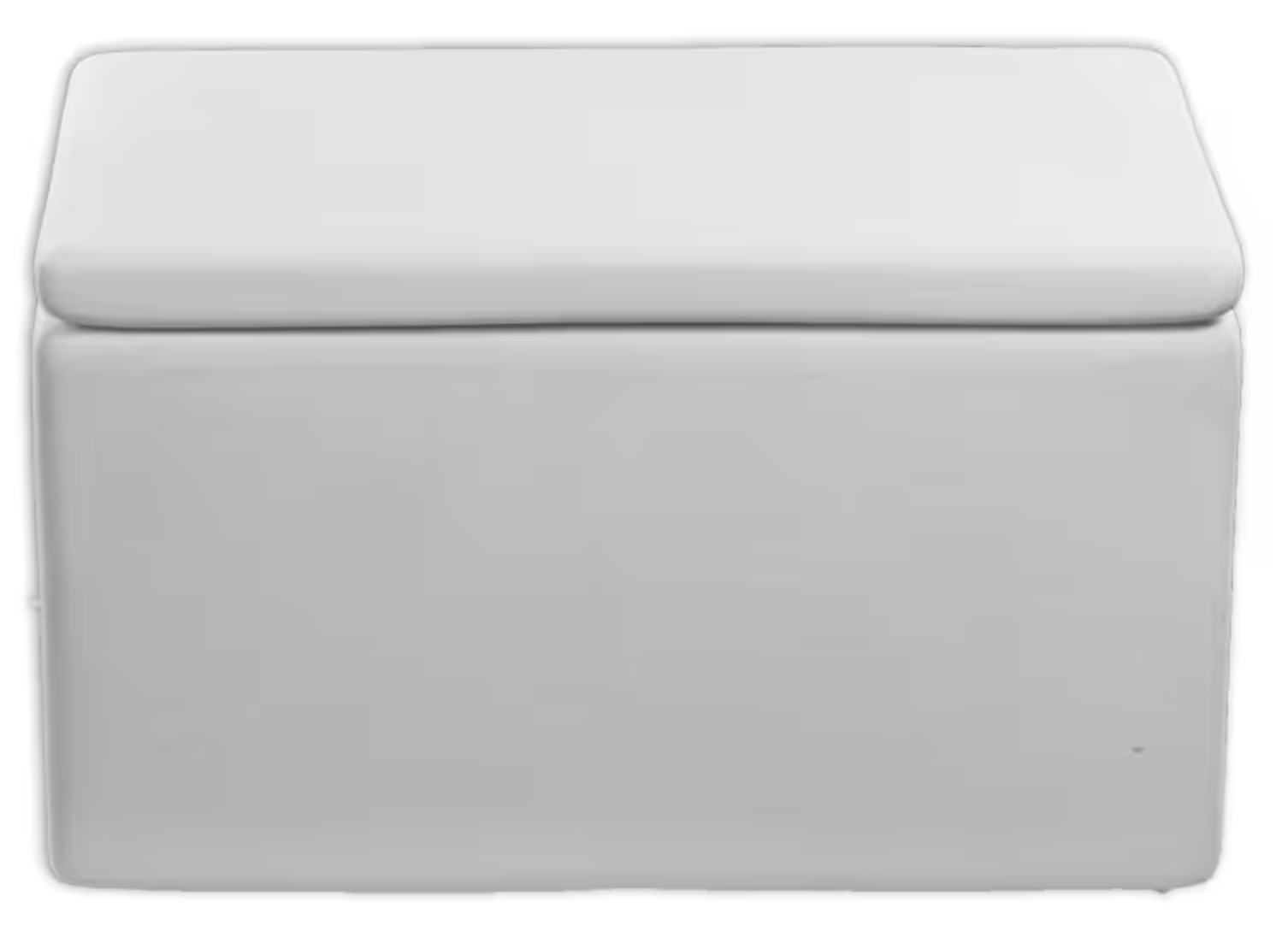 Ceramic Rectangle Box – The Stompin' Grounds