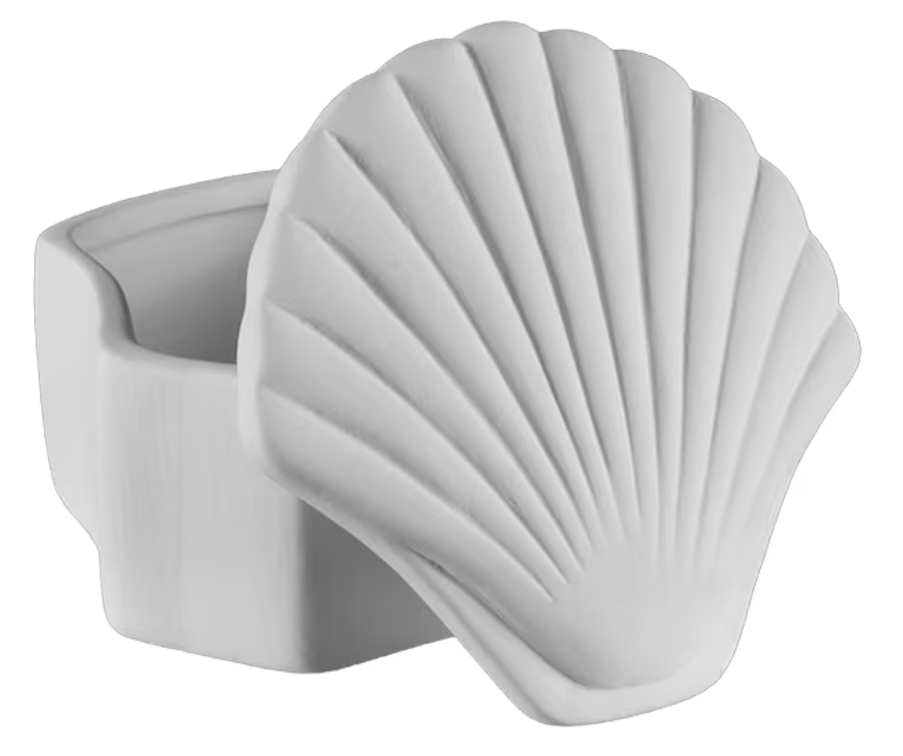 Ceramic Seashell Box