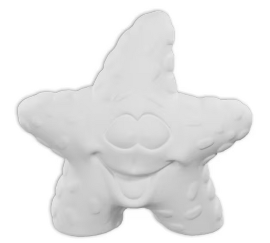 Ceramic Starry Steve