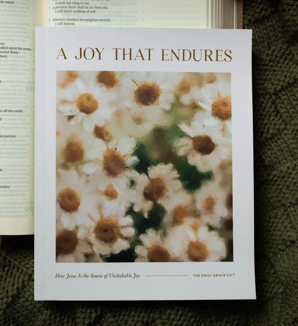 A Joy That Endures Bible Study