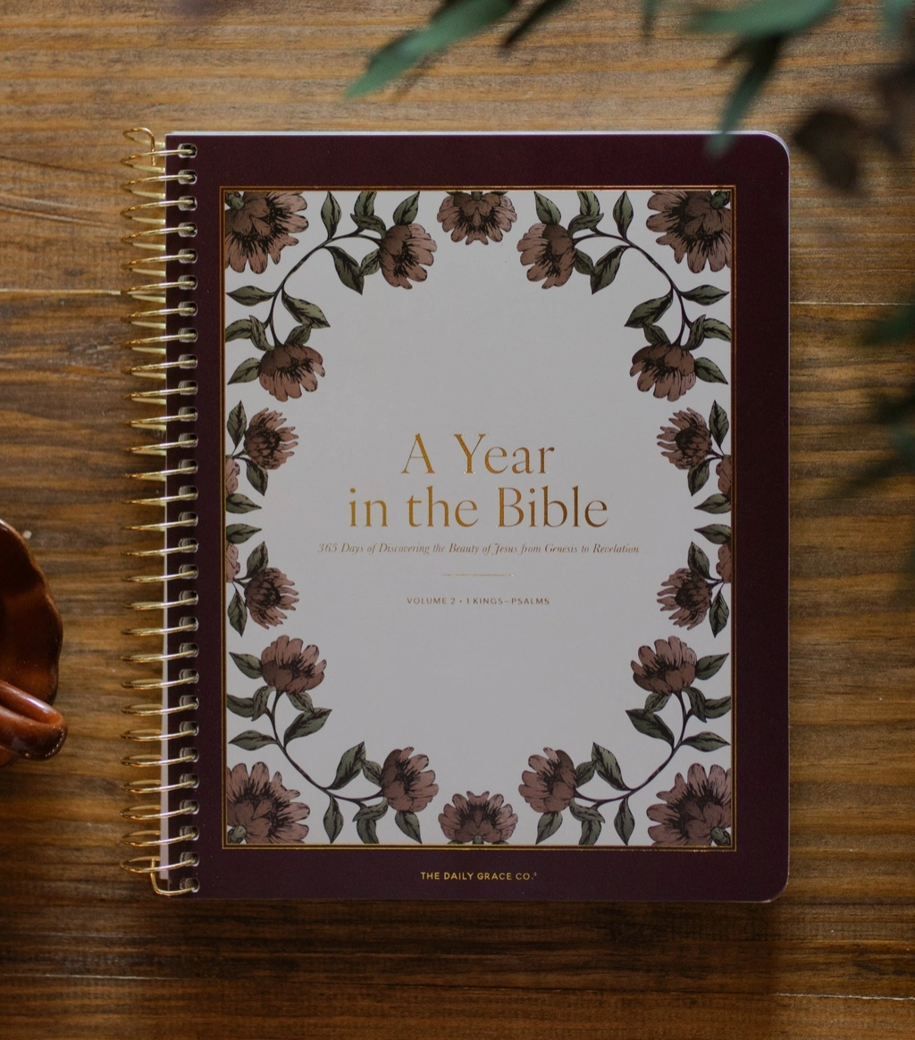 A Year in the Bible