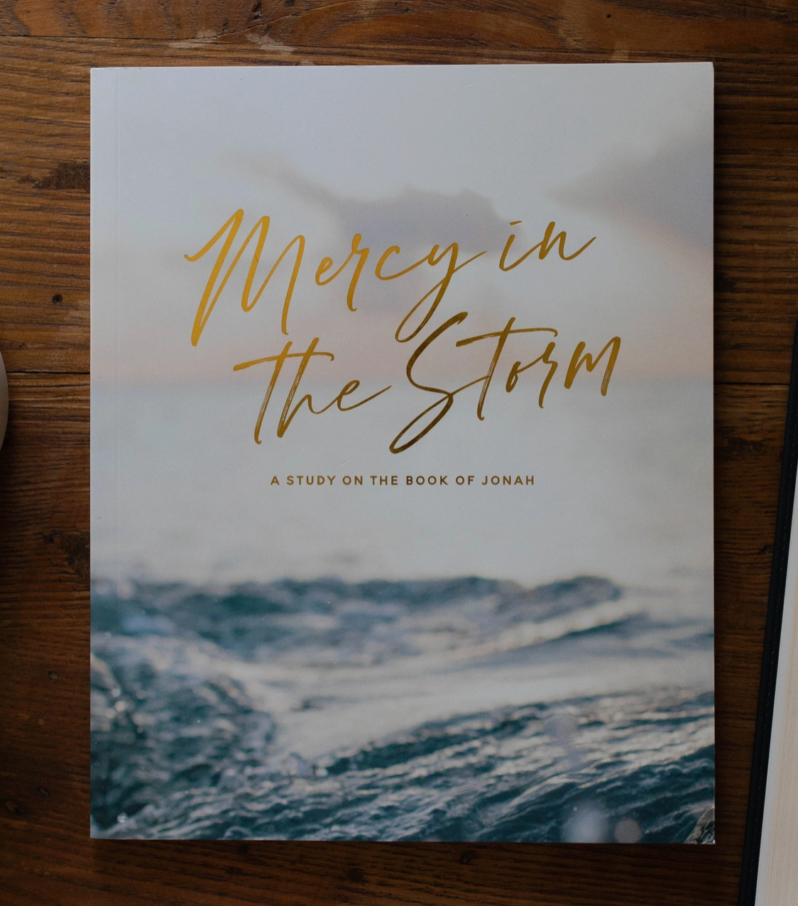 Mercy in the Storm Bible Study