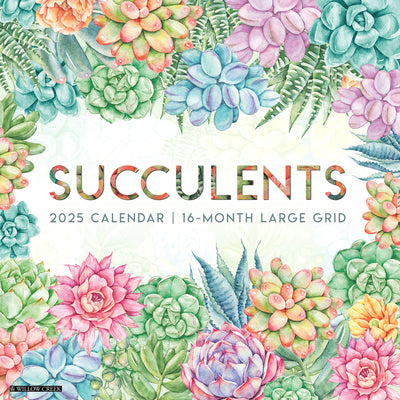 Succulents 2025 Calendar 16 month