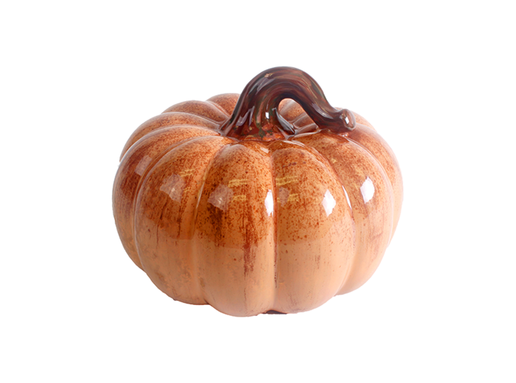 Big Squatty Gourd/Pumpkin