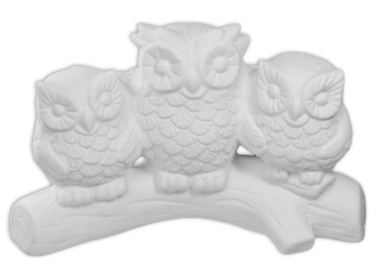 Owl Family on Log