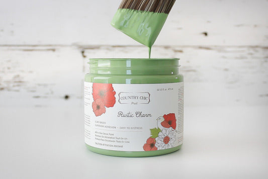 Country Chic All in One Decor Paint- Rustic Charm 4oz.