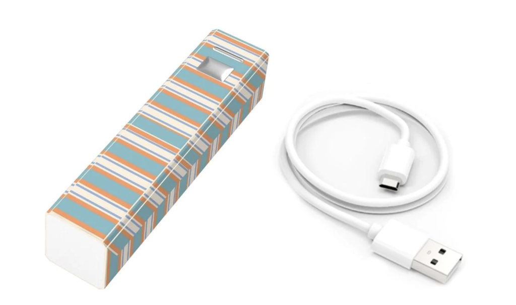 Portable Charger- Blue Stripes