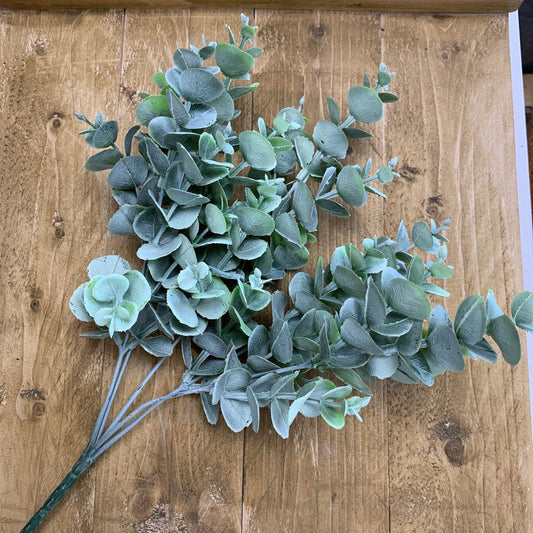 Eucalyptus Gray Green