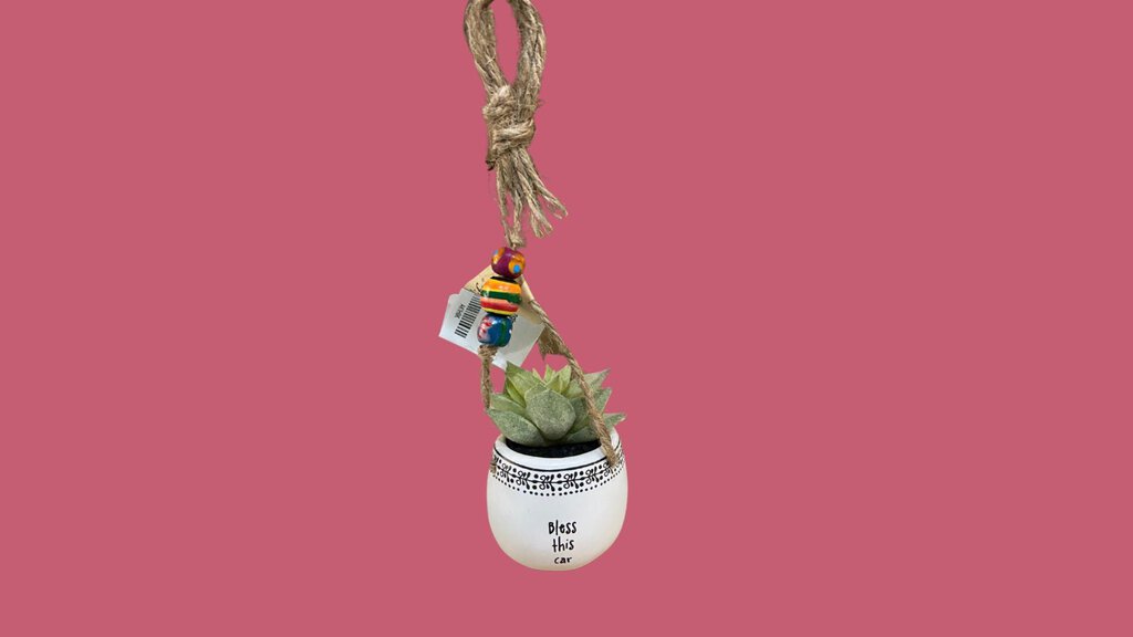 Hanging Succulent Bless This C